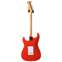 Fender FSR Limited Classic Series 50s Strat Fiesta Red with Gold Hardware MN Back View