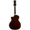 Taylor 200 Deluxe Series 214ce-CF DLX Copafera Back View