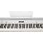 Roland FP-60-WH Digital Piano White Front View