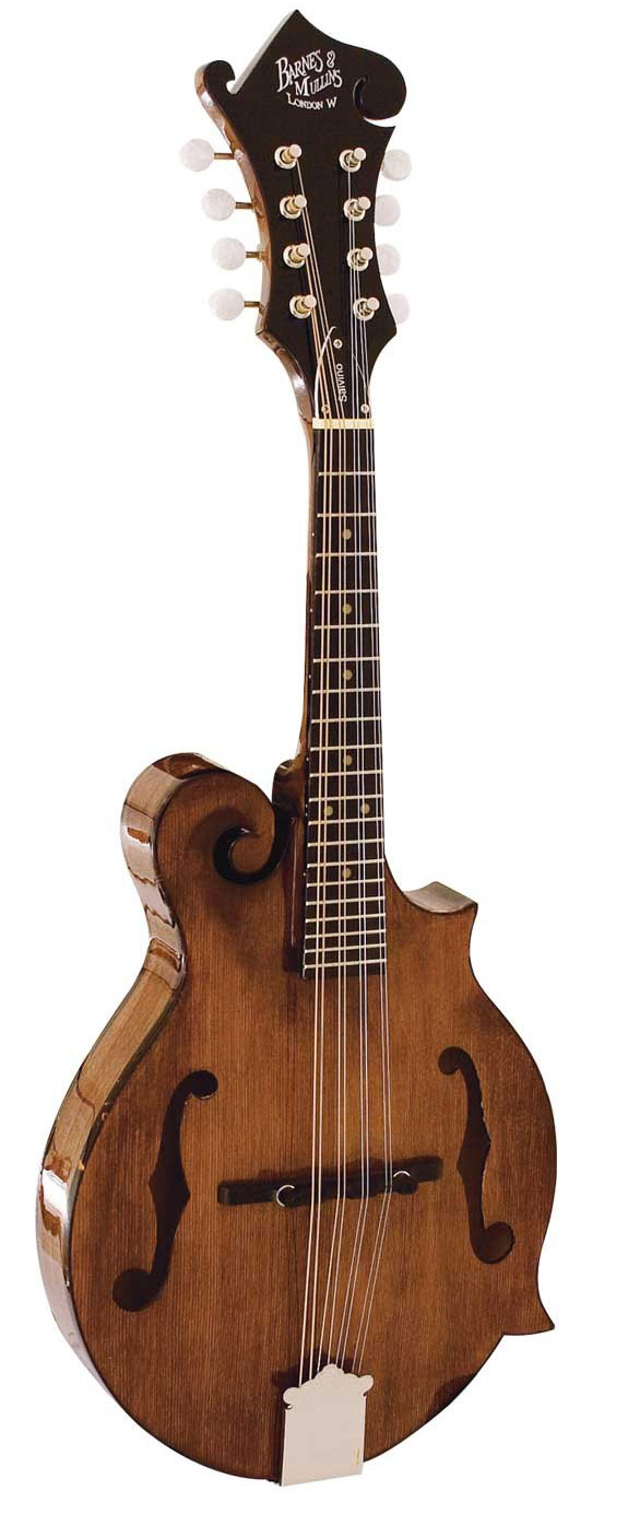 Barnes & Mullins BM650 Salvino Mandolin