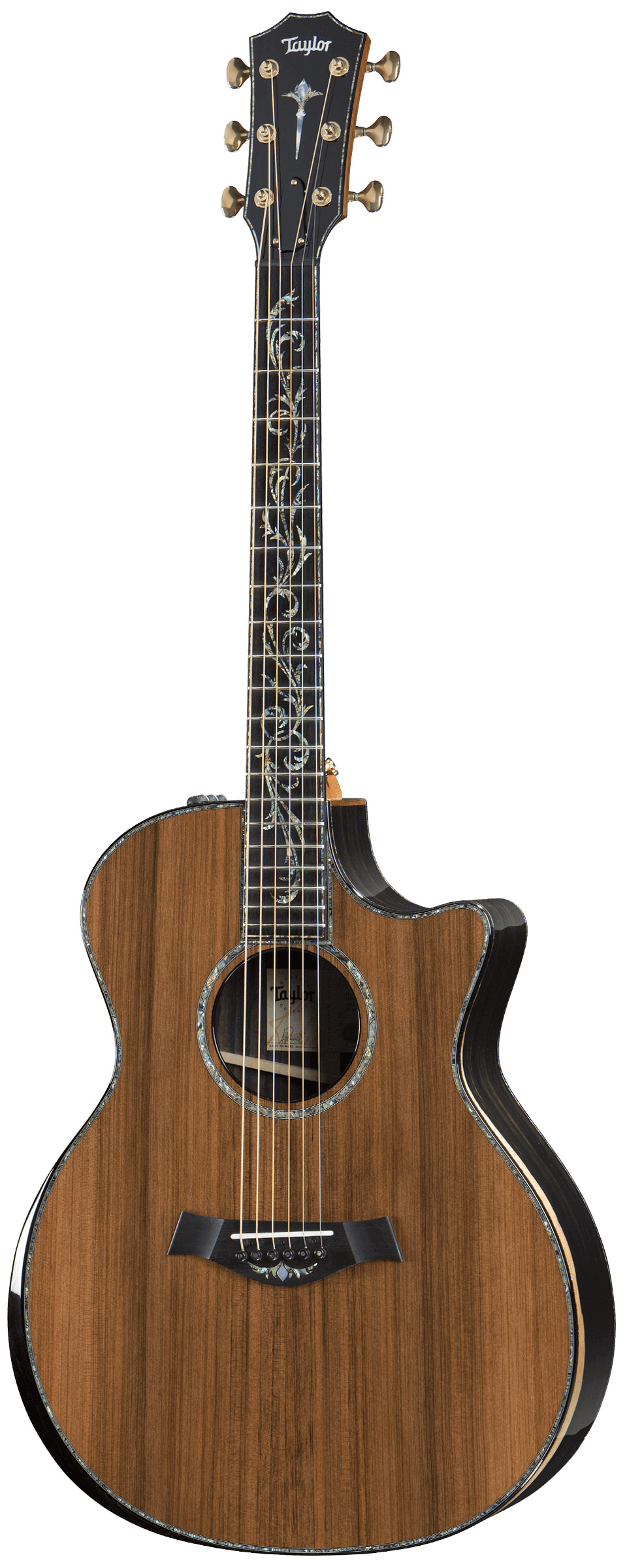 Taylor PS14ce V Class Bracing (2018)