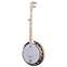 Deering Goodtime Two 5-String with Resonator Front View