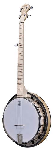 Deering Goodtime Special 5-String with Resonator