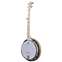 Deering Goodtime Special 5-String with Resonator Front View