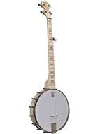 Deering Goodtime Special Openback Lefty