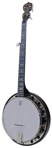 Deering Artisan Goodtime Special 5-String with Resonator