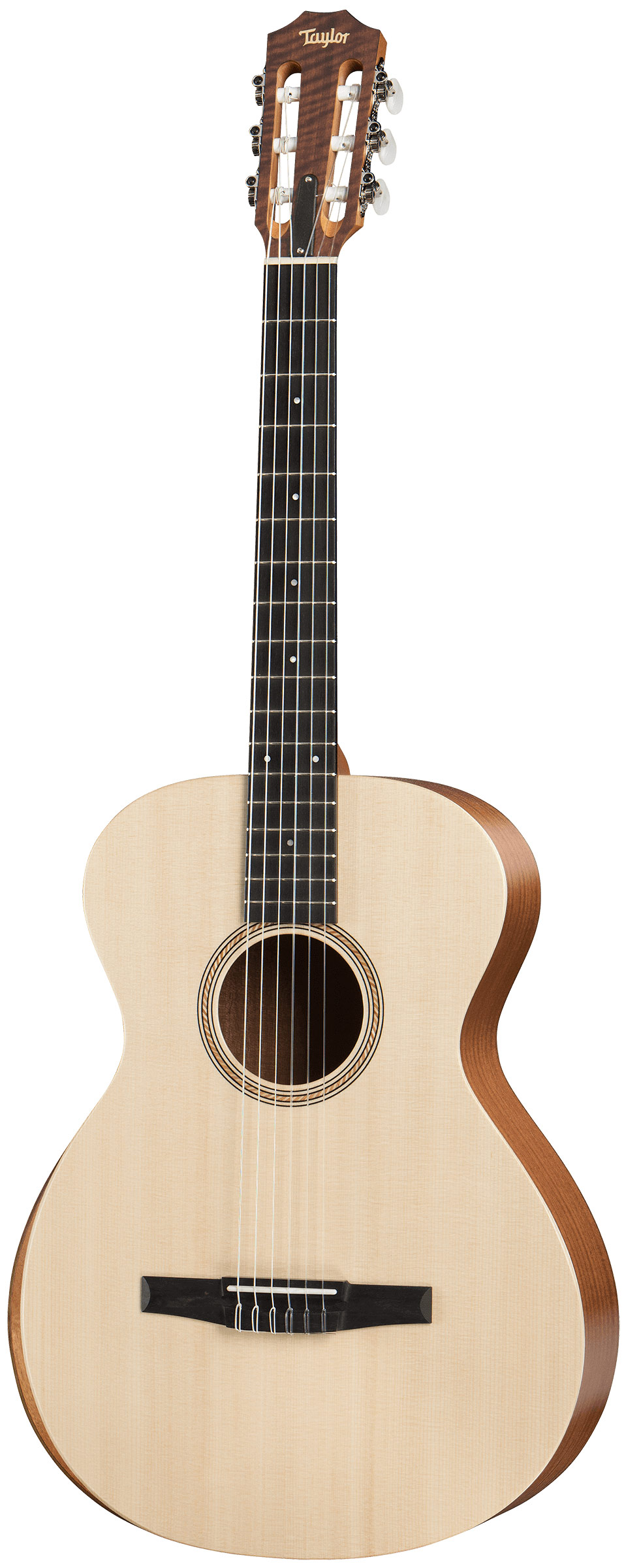 Taylor Academy 12-N Grand Concert | guitarguitar