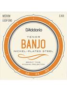 D'Addario EJ63 Tenor Banjo Nickel