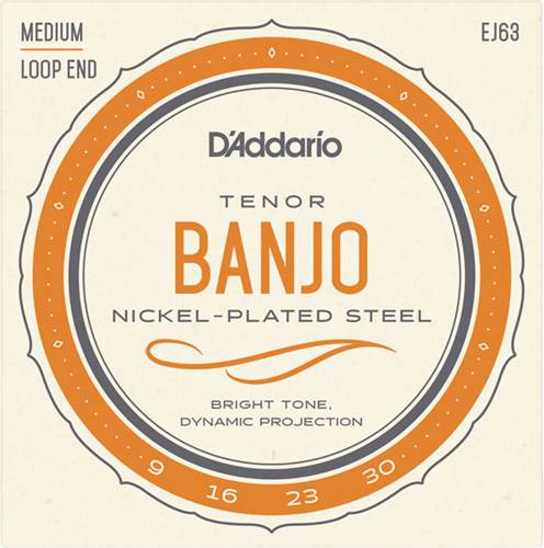 D'Addario EJ63 Tenor Banjo Nickel