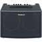 Roland AC-60 Compact Stereo Acoustic Amplifier Front View