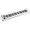 Roland A-49-WH White USB MIDI Controller Keyboard White Front View