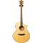 Ibanez AEW21VK-NT  Natural High Gloss (Ex-Demo) #130700400 Front View