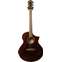 Ibanez AEW40CD-NT Cordia Natural (2015) (Ex-Demo) #15060523 Front View