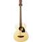 Ibanez PCBE12-OPN Acoustic Bass Open Pore Natural (2015) (Ex-Demo) #170103636 Front View