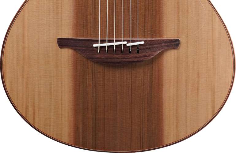 Lowden Wee Lowden WL25 East Indian Rosewood / Red Cedar  #23208 Lowden Wee Lowden WL25 East Indian Rosewood / Red Cedar  #23208