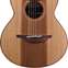 Lowden Wee Lowden WL25 East Indian Rosewood / Red Cedar  #23208 