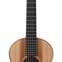 Lowden Wee Lowden WL25 East Indian Rosewood / Red Cedar  #23208 