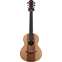 Lowden Wee Lowden WL25 East Indian Rosewood / Red Cedar  #23208 Front View