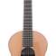 Lowden Wee Lowden WL25 East Indian Rosewood / Red Cedar  #23212 
