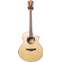 Ibanez AEW51-NT Natural High Gloss (Ex-Demo) #170100405 Front View
