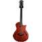 Taylor T5z Classic Mahogany 12-String (Ex-Demo) #1104138104 Front View
