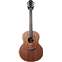 Lowden F50 African Blackwood/Sinker Redwood w/Bevel and 38 Inlays #19841 Front View