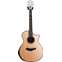 Taylor 900 Series 914CE ES2 With Bevel (Ex-Demo) #1108017066 Front View