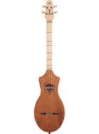 Seagull M4 Mahogany EQ