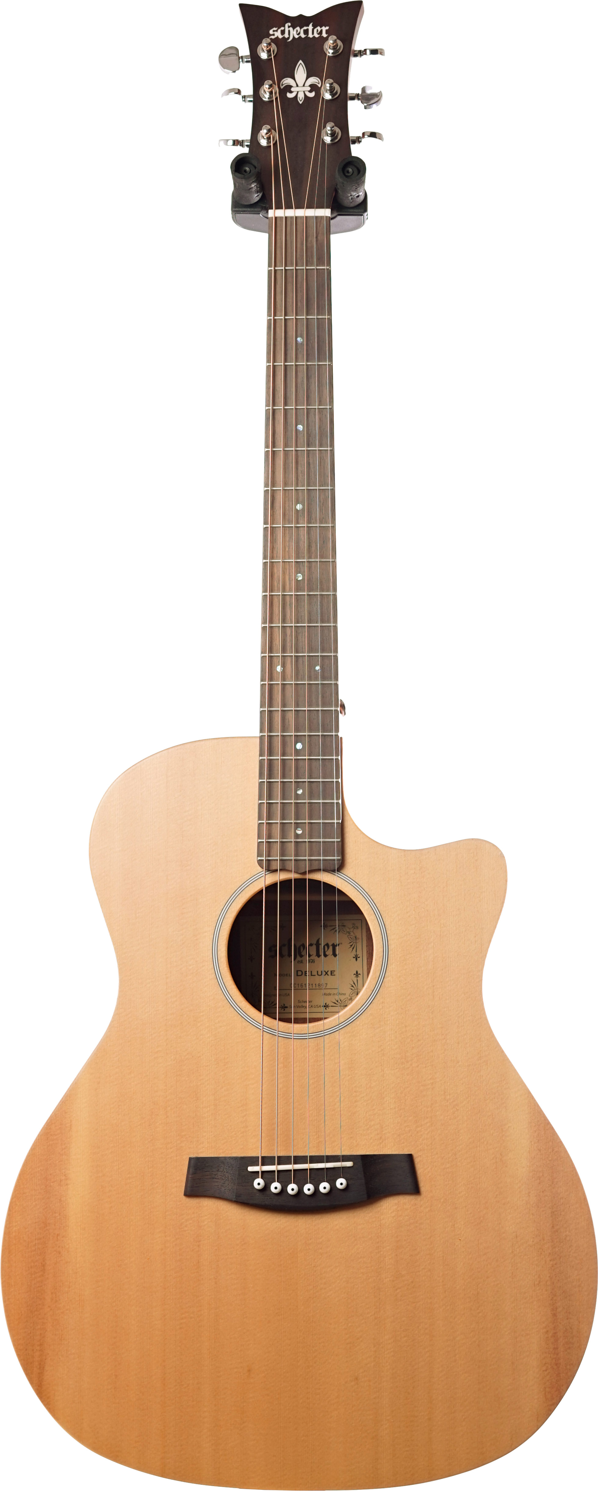 Schecter deals acoustic electric