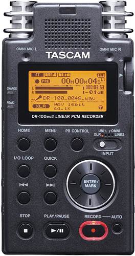 Tascam DR-100MKII Handheld Recorder (Ex-Demo) #1641893