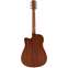 Alvarez Artist Series AD30CE Dreadnought Cutaway Back View