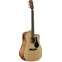 Alvarez Artist Series AD30CE Dreadnought Cutaway Front View