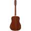 Alvarez Artist Series AD60-12 Dreadnought 12-String Back View