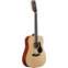 Alvarez Artist Series AD60-12 Dreadnought 12-String Front View