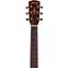 Alvarez Artist Series AJ80CE Jumbo Cutaway Natural 