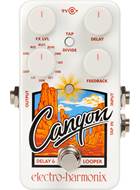 Electro Harmonix Canyon Delay and Looper