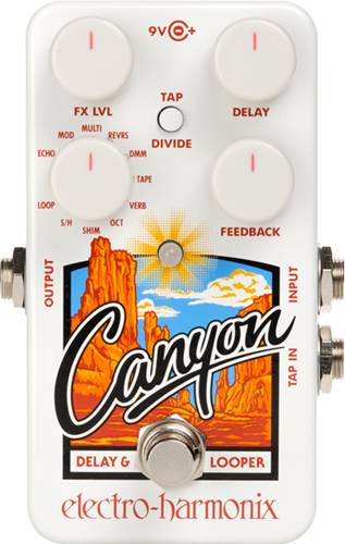 Electro Harmonix Canyon Delay and Looper