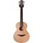 Lowden WL-22 MA/RC Wee Lowden Mahogany/Red Cedar #21920 Front View