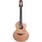 Lowden S25J Jazz Indian Rosewood/Red Cedar #22393 Front View