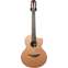 Lowden S25J Jazz Indian Rosewood/Red Cedar #22580 Front View