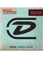 Dunlop Signature R.Willy Electric - Light 08-40