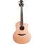 Lowden F25C Indian Rosewood/Red Cedar w/LR Baggs Anthem #22328 Front View