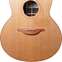 Lowden F25C Indian Rosewood Red Cedar with LR Baggs Anthem #23611 