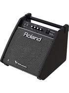 Roland PM-100 Drum Amp
