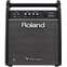 Roland PM-100 Drum Amp Front View