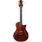 Taylor Custom T5z Cocobolo Top (Ex-Demo) #110618123 Front View