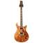 PRS Ltd Edition Wood Library DGT Copperhead  #249337 Front View