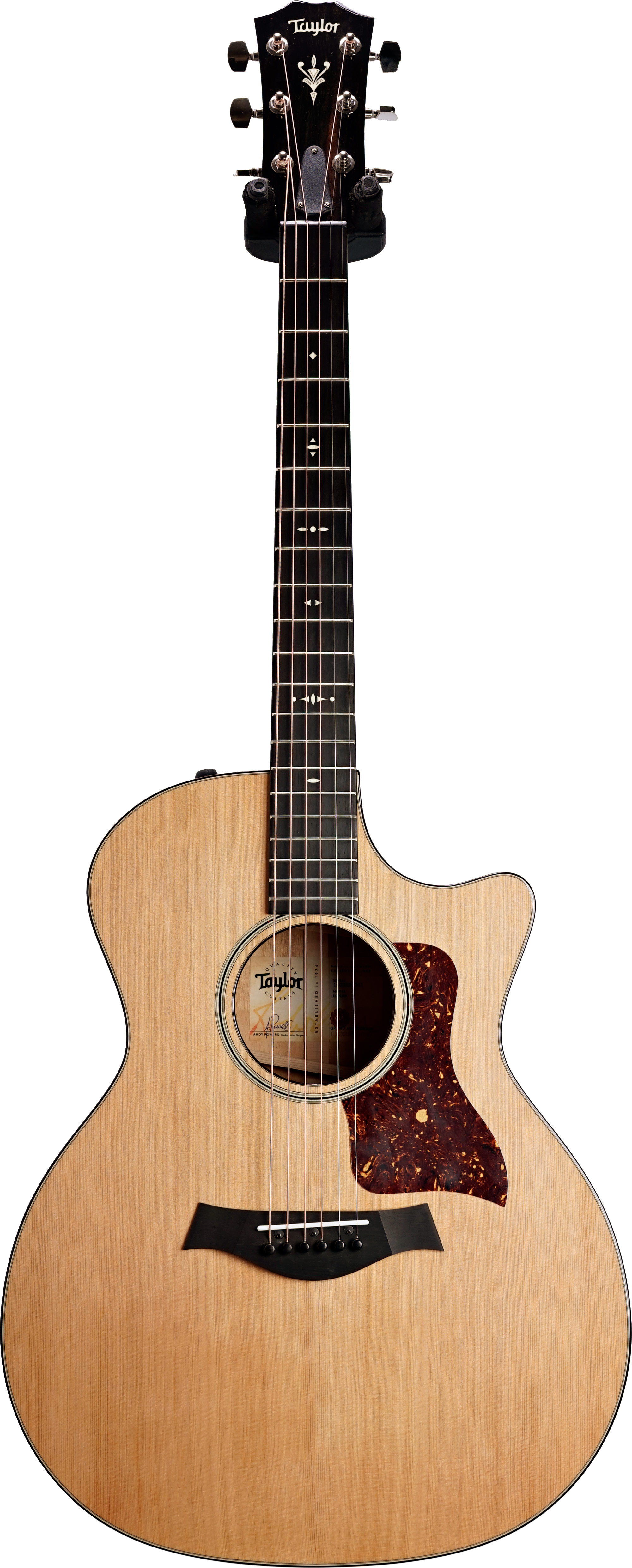 Taylor 514ce V Class Bracing (Ex-Demo) #1102229041