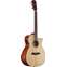 Alvarez AG60CEAR Grand Auditorium Cutaway with Bevel Front View