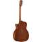 Alvarez AG60CEAR Grand Auditorium Cutaway with Bevel Front View